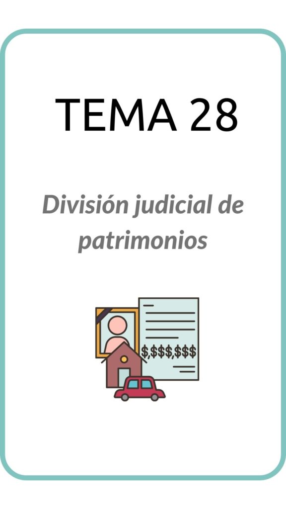 tema-28-division-judicial-patrimonios-thumbnail